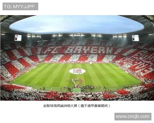 保加利亚与匈牙利激战正酣比赛结果揭晓引发热议