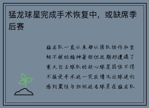 猛龙球星完成手术恢复中，或缺席季后赛