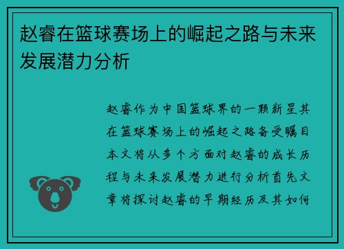 赵睿在篮球赛场上的崛起之路与未来发展潜力分析