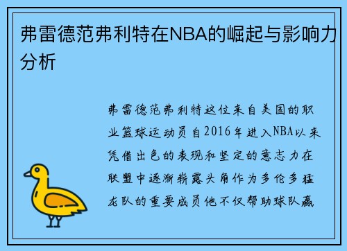 弗雷德范弗利特在NBA的崛起与影响力分析