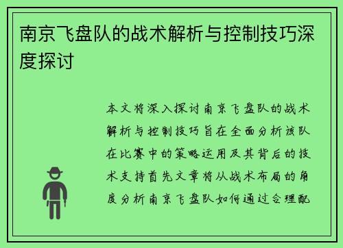南京飞盘队的战术解析与控制技巧深度探讨